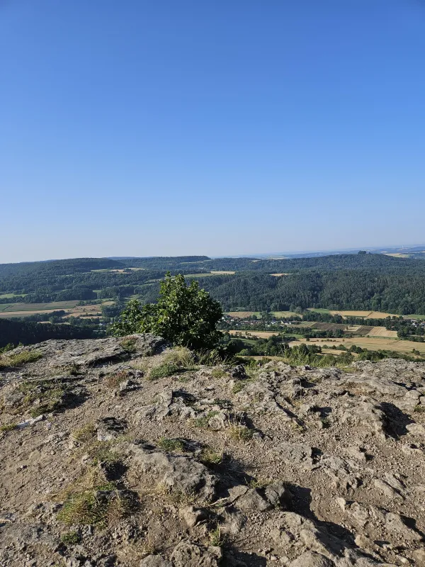 Der Blick von der felsigen Hochebene des Staffelbergs auf eine weitläufige Landschaft mit Wäldern, Feldern und einer Ortschaft unter einem wolkenlosen Himmel. Im Vordergrund befindet sich ein steiniger Untergrund mit einem kleinen grünen Baum.