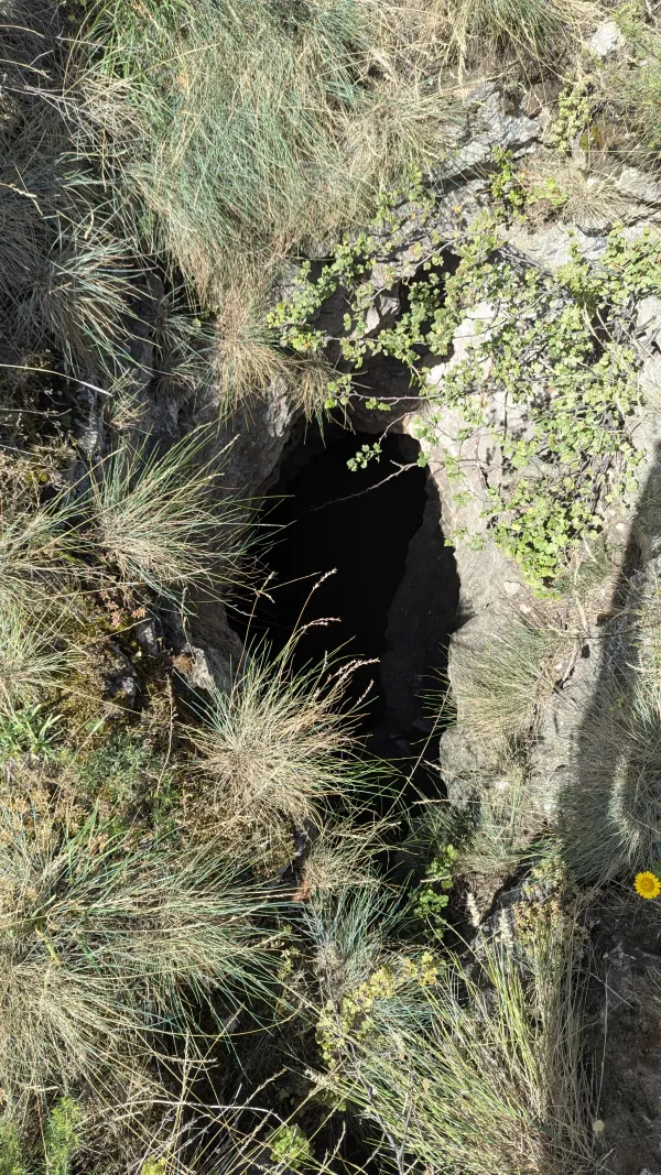 Ein dunkler, vertikaler Spalt im felsigen Boden ist von trockenem Gras und kleinen Sträuchern umgeben. Die Ansicht erfolgt von oben auf die Öffnung in der karstigen Landschaft des Staffelbergs.