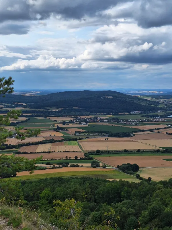 Blick von einem bewaldeten Hang auf eine weite Agrarlandschaft mit Feldern, Ortschaften und einem markanten bewaldeten Berg im Hintergrund. Über der Landschaft wölbt sich ein bewölkter Himmel.